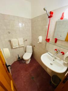 a bathroom with a white toilet and a sink at Family Hotel Savov in Chepelare