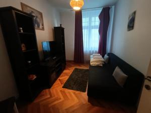 un salon avec un canapé noir et une télévision dans l'établissement Apartament Naturo, à Sibiu