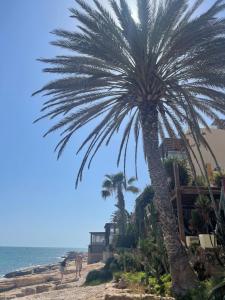 a palm tree on the beach next to the ocean at Hostel The Endless House Anchor point in Taghazout