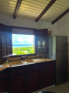 eine Küche mit einem Fenster über einer Spüle und einem Kühlschrank in der Unterkunft L'appartement FRUIT DE LA PASSION in Le Gosier