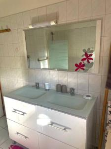 baño con lavabo verde y espejo en L'appartement FRUIT DE LA PASSION, en Le Gosier 16 fotos más