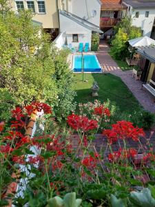 a garden with red flowers and a swimming pool at Landhaus zum Siebenschläfer in Herrnbaumgarten