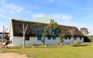 Vonkajšia záhrada v ubytovaní Barraca típica del Delta, con piscina, jardín y barbacoa - Deltavacaciones