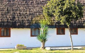 Vonkajšia záhrada v ubytovaní Barraca típica del Delta, con piscina, jardín y barbacoa - Deltavacaciones