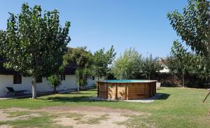 Vonkajšia záhrada v ubytovaní Barraca típica del Delta, con piscina, jardín y barbacoa - Deltavacaciones