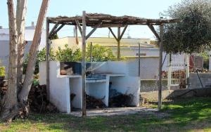 Vonkajšia záhrada v ubytovaní Barraca típica del Delta, con piscina, jardín y barbacoa - Deltavacaciones