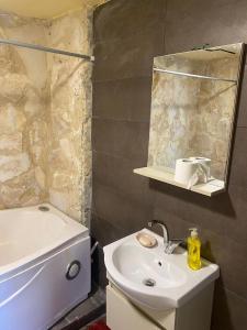 uma casa de banho com um lavatório e um espelho em Amman landscape farm em Amã