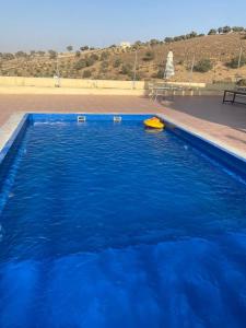 a pool of blue water with a yellow object in it at Amman landscape farm in Amman