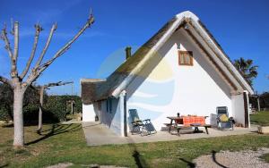 una pequeña casa con techo triangular y mesa de picnic en Barraca típica del Delta, con piscina, jardín y barbacoa - Deltavacaciones, en Sant Jaume d'Enveja