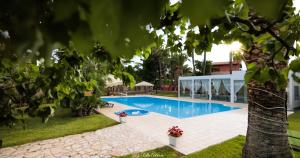 Bazén v ubytování B&B Villa Adriana nebo v jeho okolí