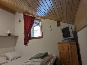 TV a/nebo společenská místnost v ubytování Duplex spacieux, 3 pièces près des pistes, Saint-Jean-d'Aulps - FR-1-573-76