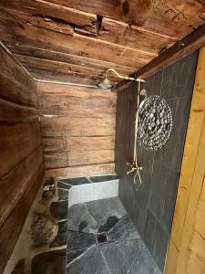 Una ducha en una habitación con paredes de madera. en Chalet La Paz with Hotpot and Sauna, en Törbel