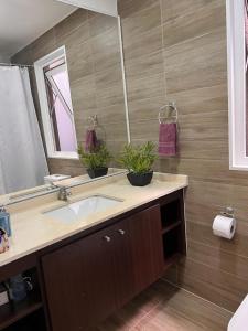 a bathroom with a sink and a mirror at Gran Casa confortable en Santiago in Lampa +11 photos