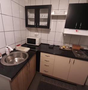 Kuchyň nebo kuchyňský kout v ubytování Apartman Centar 2