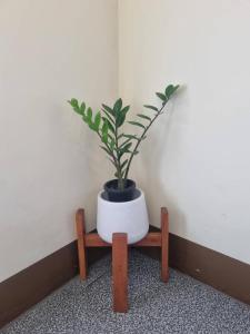 Fotografie z fotogalerie ubytování Sun smile place R6 v destinaci Ban Mo Nae