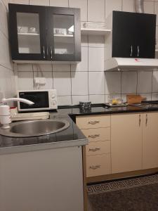 Kuchyň nebo kuchyňský kout v ubytování Apartman Centar 2