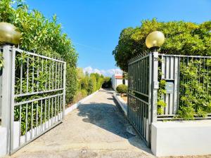a gate leading to a driveway with trees at Villa Giada in Carini