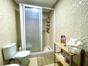 y baño pequeño con aseo y ducha. en Appartement Tanger Moulay Ismail, en Tánger