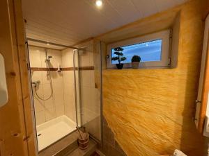 a bathroom with a shower and a toilet and a window at Landhaus Brandner in Bramberg am Wildkogel