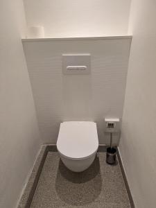 uma casa de banho com um WC branco numa cabina em LES VOLETS BLEUS em Metz