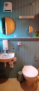 a bathroom with a white toilet and a sink at Aquila Retreats in Comrie +61 photos