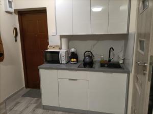 Kuchyňa alebo kuchynka v ubytovaní Apartament Kościuszko
