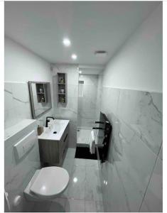 a white bathroom with a toilet and a sink at Appartement chaleureux en hyper centre de Gap in Gap