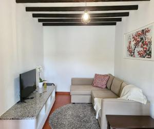 a living room with a couch and a tv at Casa das Margaridas in Caldas da Rainha