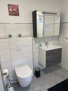 a bathroom with a toilet and a sink at Ferienhaus Lichtenberg in Herleshausen