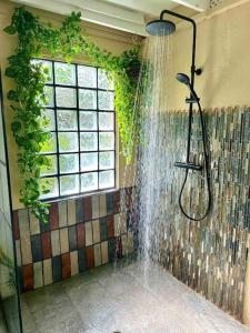 a shower in a bathroom with a window at Little Diamond, Wooden Jungle House. Bathsheba. in Saint Joseph