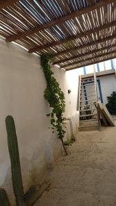 una pianta sul lato di un edificio con un cactus di CASA BRANCA NA PRAIA a Icapuí