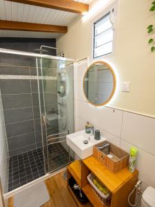 a bathroom with a sink and a shower at Kalinao - Bungalow chic en nature in Les Abymes