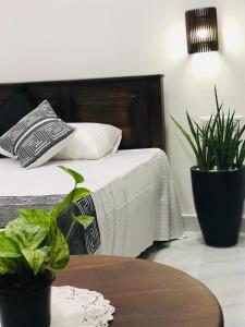 1 dormitorio con 1 cama y 2 macetas en Ibeeza Motel, en Dikwella
