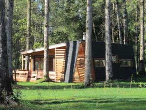 una pequeña cabaña de madera en el bosque con árboles en Los Lingues Lodge, en Puerto Octay