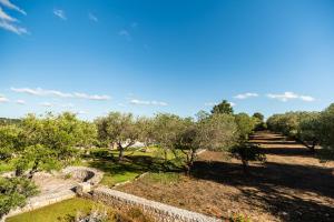 a view of a park with trees and a stone wall at Sopra i Sassi - Villa & Trulli in Ostuni