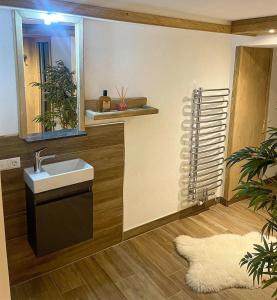 y baño con lavabo y espejo. en Mountain View Appartements mit Blick WEITBLICK, en Innsbruck