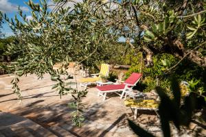 a group of chairs sitting on a patio under a tree at Sopra i Sassi - Villa & Trulli in Ostuni