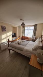 1 dormitorio con 1 cama grande en una habitación en Apartment 1, Regent Street en Bagenalstown