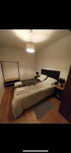 a bedroom with a large bed and a light at Le floquet in Vitry-sur-Seine