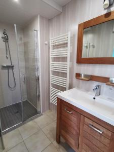 La salle de bains est pourvue d'une douche, d'un lavabo et d'un miroir. dans l'établissement Domaine de Kérizel, à Ambon