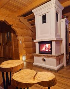 a living room with a fireplace in a log cabin at Góralski Domek Łopatówka z kominkiem i Banią - Jacuzzi! in Murzasichle