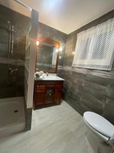 bagno con servizi igienici, lavandino e specchio di Casa Calderón de Medina lV a Siete Iglesias de Trabancos