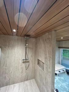 uma casa de banho com um chuveiro e uma piscina em Chez Ninine gite 9 personnes em Stavelot
