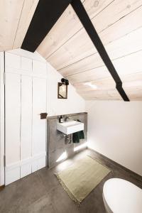 a bathroom with a sink and a toilet at Chalet Buron 7 in Kaufbeuren