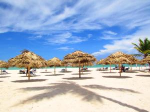 a group of straw umbrellas on a beach at Los Corales Beach Village Punta Cana - The original in Punta Cana