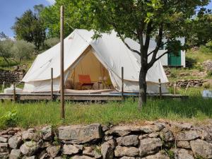 Saint-Genest-de-Bauzon的住宿－LES JARDINS CELESTES，白色帐篷,配有桌子和树