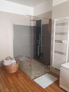 a bathroom with a shower with a glass door at La Maison Rose sur le Port in Saint-Louis-du-Rhône