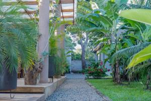 um corredor de uma casa com palmeiras e plantas em Tulivu Kilimanjaro Retreat and Campsite em Moshi