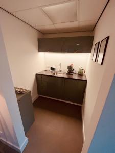uma pequena cozinha com um lavatório num quarto em Bed and Breakfast 013 city em Tilburgo