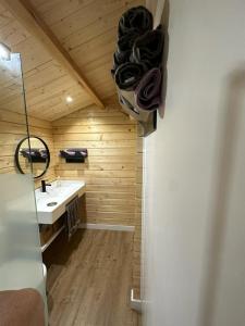 La salle de bains est pourvue d'un lavabo et d'un miroir. dans l'établissement Cabaña Juanito del Roque, à Valsequillo de Gran Canaria